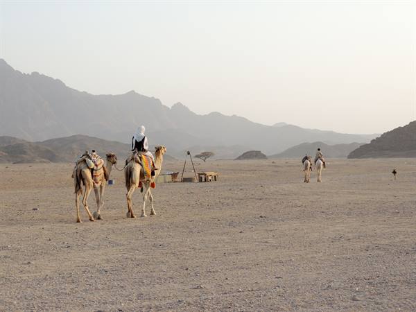 Jeep Safari - The Bedouins