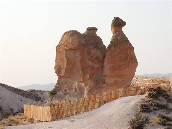 The Devrent valley - the camel