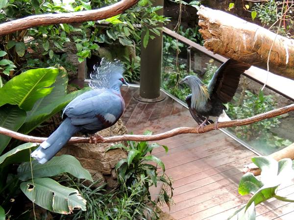 Central Park Zoo