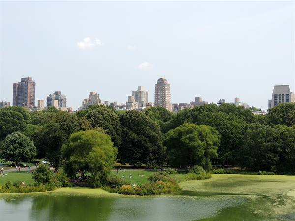 Central Park South Great Lawn
