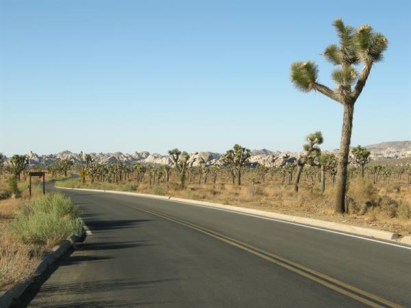 Joshua Tree National Park