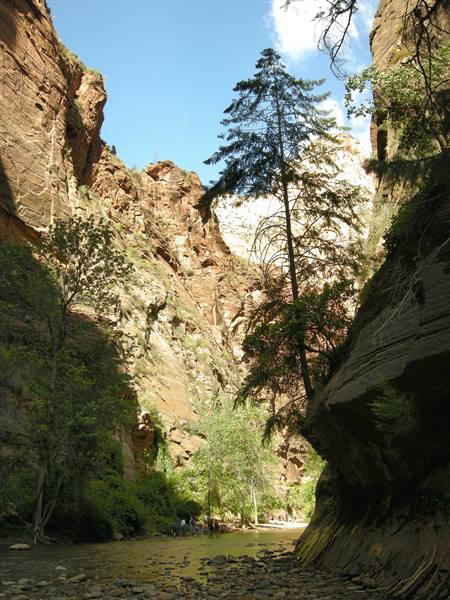 Zion Park - The Narrows and The Virgin River