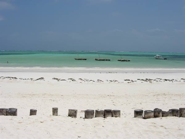 White sand beach with wooden logs, sailboats on turquoise water