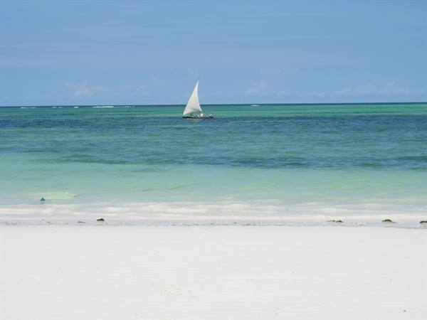 White-sailed dhow on turquoise water off Zanzibar's white sand beach
