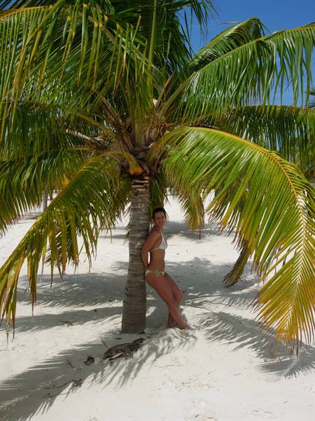 Woman in bikini leaning on a palm tree on white sand under the sun