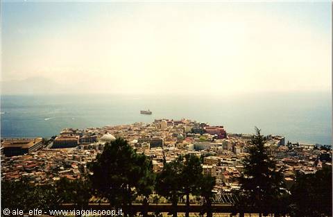 City overlooking the strait, ferry sailing, trees in the foreground