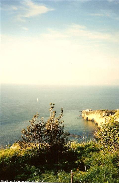 Rocky coastline on blue sea, a distant sailboat, green bushes in foreground