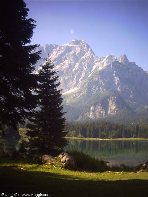 Firs and rocks at Fusine lake, Mangart peak rising behind