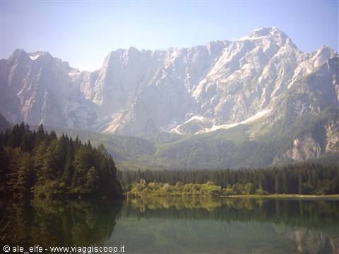 Mangart peak mirrored in Fusine lake among firs