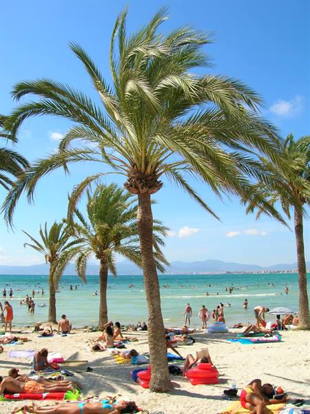 El Arenal