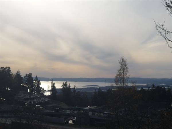 Oslofjord glimpsed through trees from the Holmenkollen slope, cloudy sky