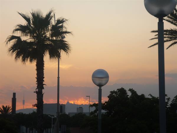Palm trees and spherical lamps silhouetted against Barcelona's orange sky