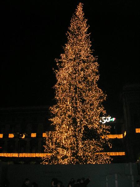 the christmas tree in piazza del duomo
