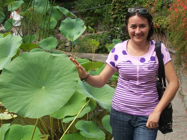 Ischia: The La Mortella gardens