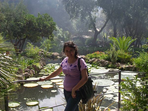 Ischia: The La Mortella gardens
