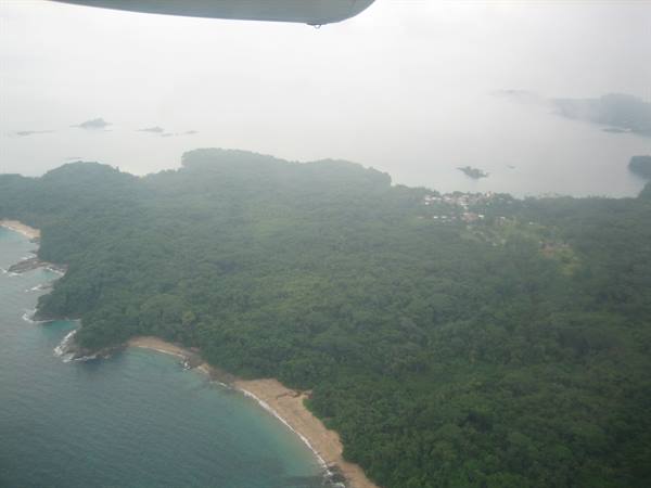 Panoramic view