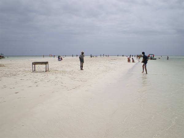 THE SEA
