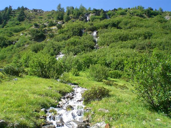 stream