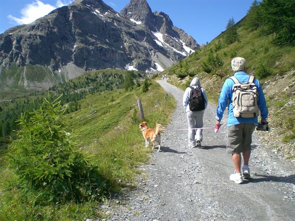 the walks