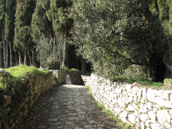 towards Brolio Castle