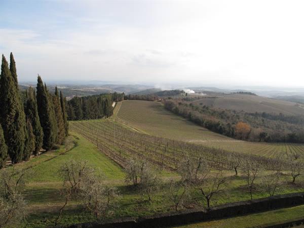 panorama from Brolio castle