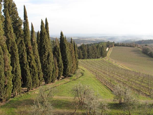 panorama from Brolio castle