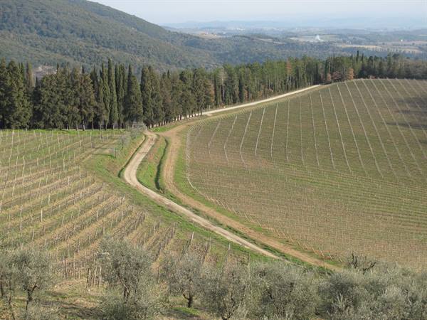 panorama from Brolio castle