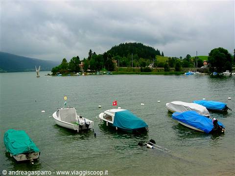 From the Swiss rain to the........