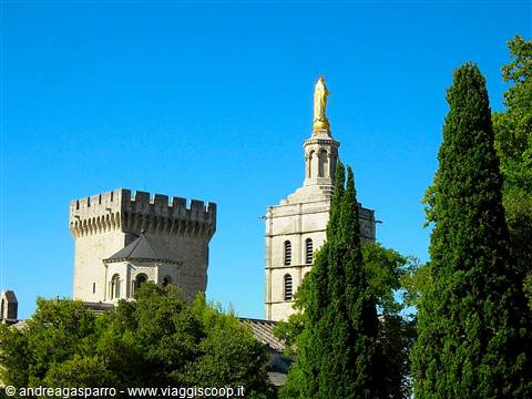 sun of Provence (Avignon)