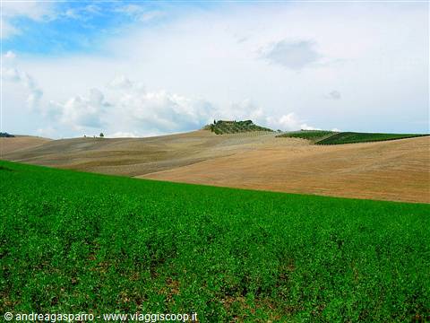Cultivated hills with green field in foreground and farmhouse on the hilltop