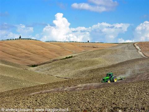 Green tractor ploughing clay hills, cypresses on the ridge, Val d'Orcia