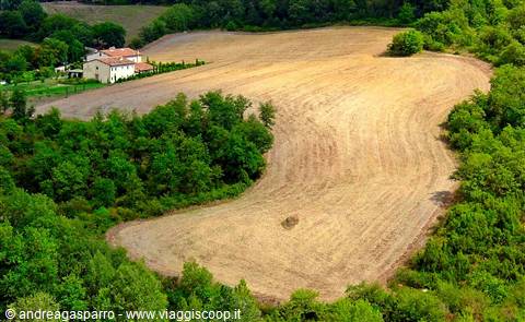 Golden plowed field between green woods with a farmhouse and trees