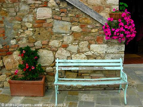 Faded green wooden bench against stone wall with pink flower pots