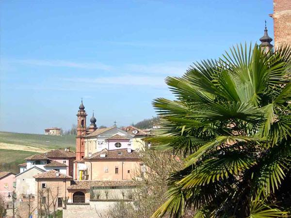 View of Costigliole d'Asti