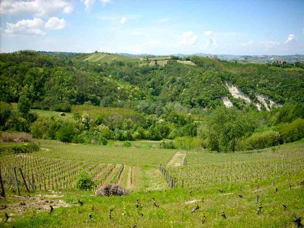 The landscape around Santo Stefano Belbo