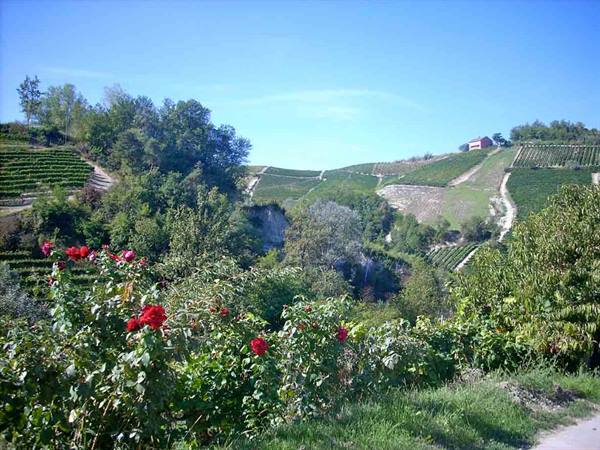 Around the hamlets of Alba