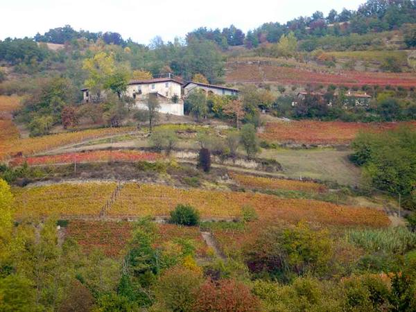 The colors of autumn around Alba