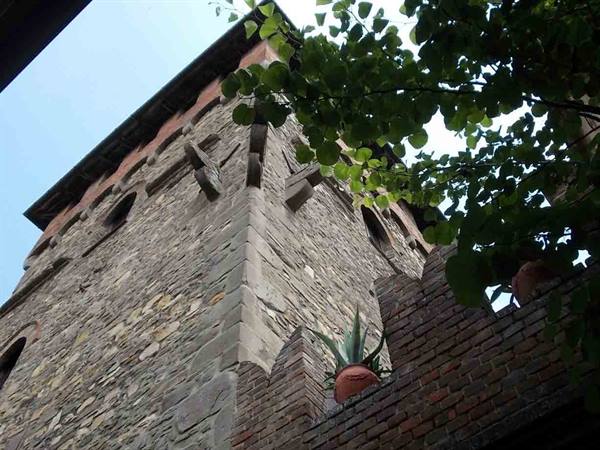 Medieval stone tower seen from below, green branches and potted agave