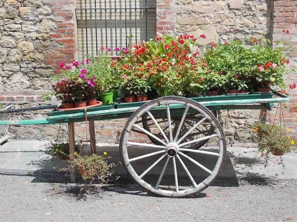 Green wooden cart with white wheel full of colorful flower pots