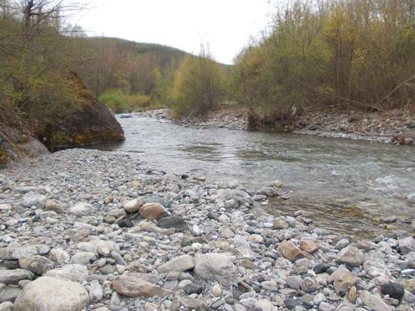 River flowing over grey pebbles between bare trees in countryside