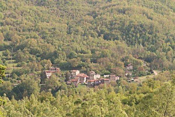 Small stone village surrounded by green woods on forested hills