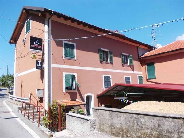 Trattoria sign on pink building with green shutters under blue sky