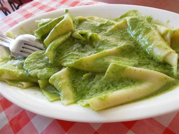 Pasta with green sauce on white plate, red checkered tablecloth