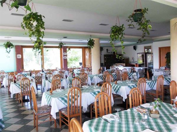 Empty restaurant dining room with set tables, green checkered tablecloths and hanging plants