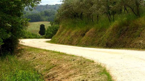 White gravel road curving through green hills and olive groves in Tuscany
