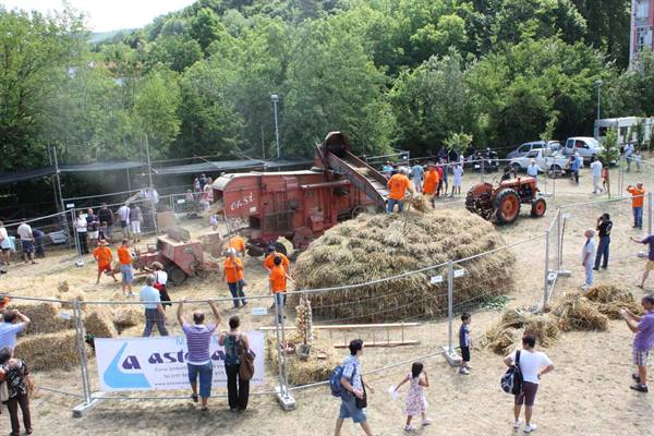 Red combine harvester and tractor demonstrate wheat threshing to a crowd of visitors