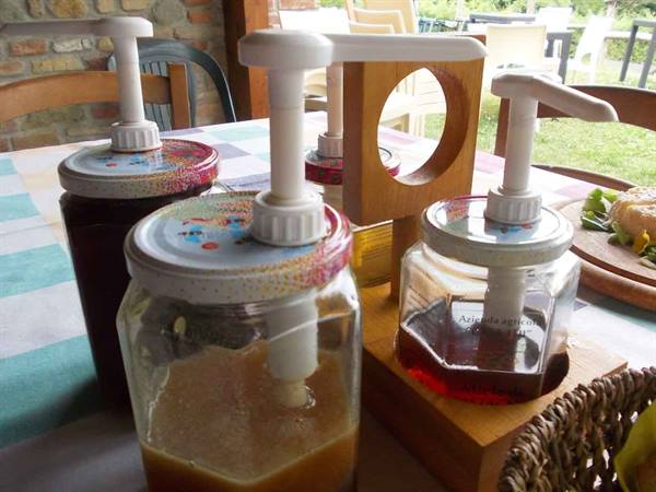 Honey jars with dispensers on checkered tablecloth at a farmhouse