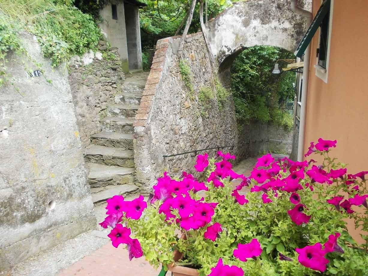 Magenta fiori in primo piano vicino a una scala in pietra e un arco