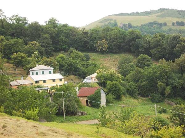 Yellow houses among green woods on hillside under grey sky