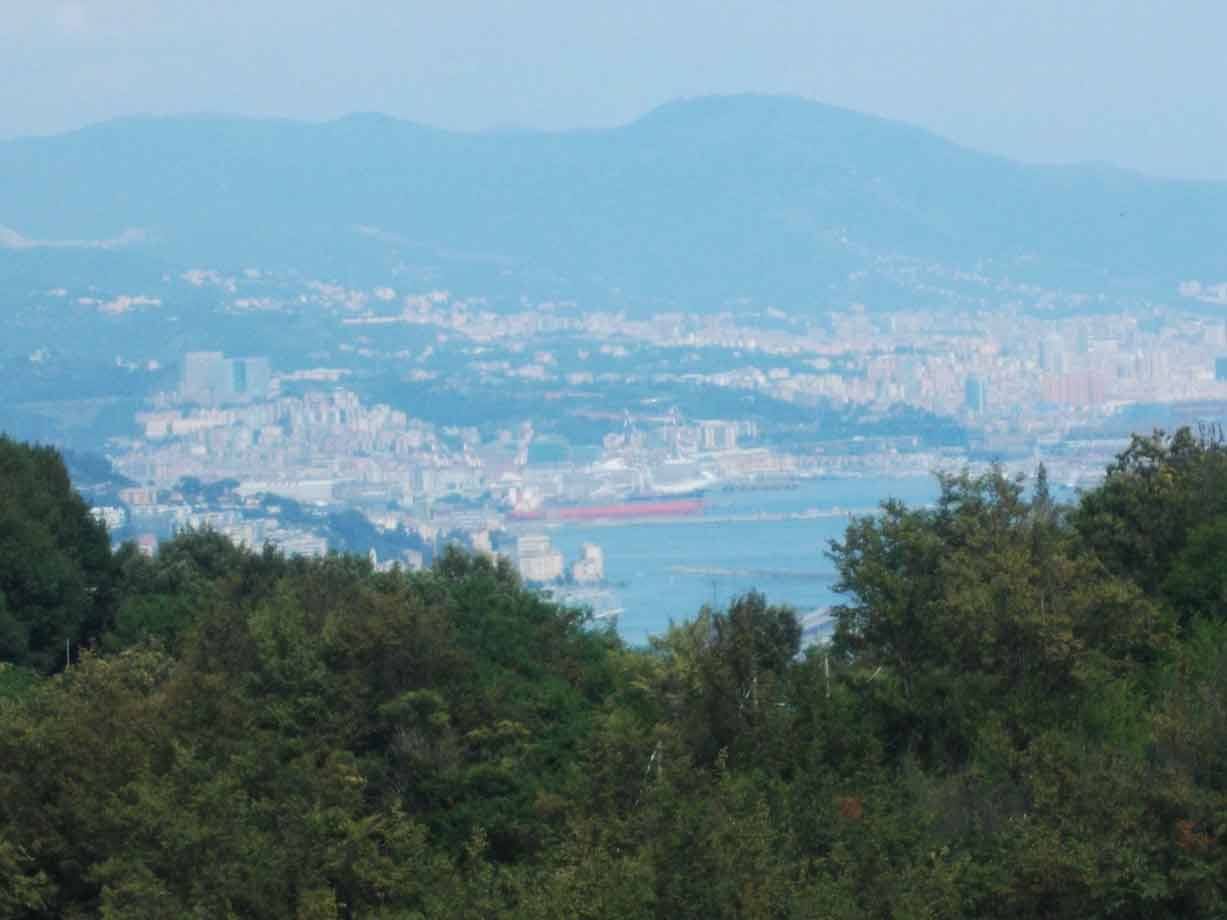 Il porto e la città di Genova immersi nella foschia, visti tra gli alberi
